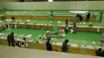 わんにゃんフェスタin青森 わんにゃんフェスタin青森